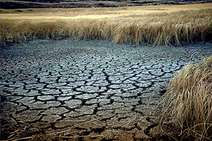Aşırı İklim Olayı Sayısı Bini Aştı