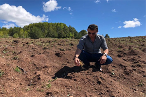 Kilosu 18 Bin Lira Olan Kara Elmas Giresun da Yetişmeye Başladı