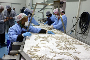 Türkiye de Rağbet Yok Avrupa da Kapış Kapış Gidiyor