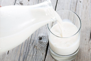 21 Mayıs Dünya Süt Günü