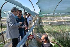 Kayseri de Üretilip Dünyaya Satılıyor