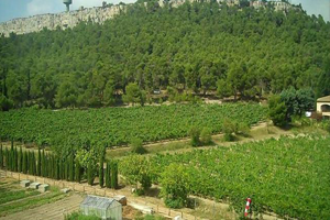 Atatürk Orman Çiftliği 29 Yıllığına Ankara Büyükşehir Belediyesine Tahsis Edilecek