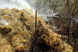 Depoda Yangın Çıktı 266 Balya Saman Yandı