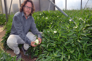 4 Dönümlük Arazide Yetiştirdiği Tropikal Meyveye Her Yerden Sipariş Yağıyor