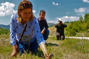 Bağ Havacivası 130 Yıl Sonra Yeniden Bulundu