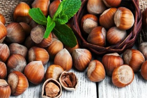 TZOB Fındık Ürecilerini Rekolte Konusunda Uyardı