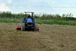 FAO Gıda Endeksi Yüzde 2 7 Yükseldi