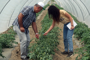 Bitkisel Üretimde Biyolojik Mücadele Yapanlar Destekleme Alacak