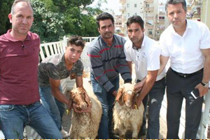 4 Genç Çiftçiye 148 Hayvan Dağıtıldı