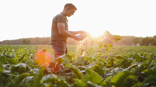 AB den Yeni Tarım Politikası