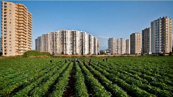 Tarım Alanları Azalıyor Mu?