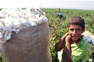 Bu İş Çocuk Oyuncağı Değil