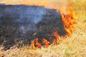 Anız Yakanlara Milyonlarca Ceza Yağdı