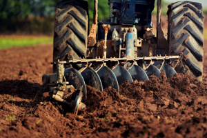 Tarım Alanlarını Kaybetme Hızımız Dünya Ortalamasının Üzerinde