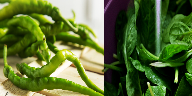 Mayıs Ayının Rekortmenleri Ispanak ile Biber Oldu