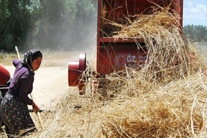ÇKS ye Başvuracaklar Dikkat 30 Haziran Son Gün
