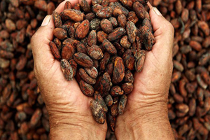 Yatırımcıların Yeni Gözdesi