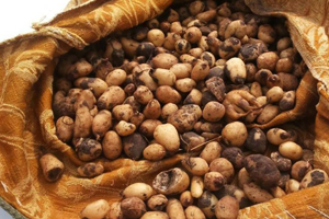 Daha Hasadı Başlamadan Kilosu 50 Liradan Satılıyor