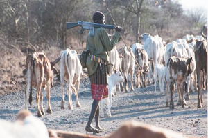 Çiftçilerle Hayvancılar Arasında Çatışma Çıktı 86 Ölü