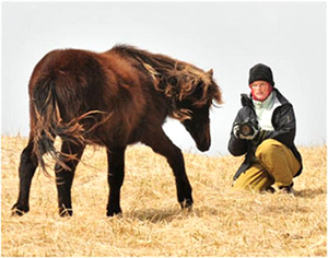 Siz Olsanız 40 Yıl Boyunca Tek Başınıza Issız Bir Adada Yaşar mıydınız