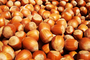 Üreticiden Sezon Öncesi Fındık Fiyatı Uyarısı