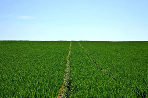 Karlı Gün Sayısı Azaldı Tropikal Gün Sayısı Arttı