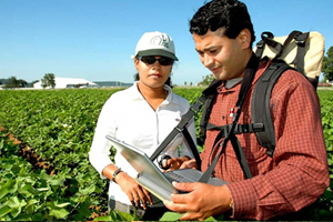 Ziraat Mühendislerine Danışmadan Tarımsal İlaç Kullanmayın