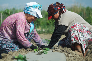 Çiftçiye Bayram Müjdesi!