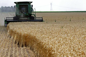 Küresel Gıda Fiyatları Yükseldi