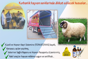 Kurbanlık Hayvanlarda Salgın Hastalıklara Dikkat