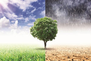 Dünyanın En Büyük Et ve Süt Şirketleri İklimi Tehdit Ediyor