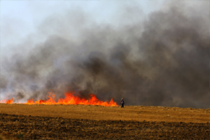 Anız Yakmak İlkel Bir Yöntem