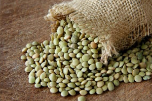 TMO Yeşil Mercimek Alımlarına Başladı