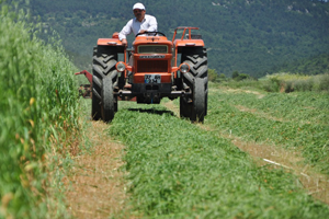 Yapılandırma Başvurularında Son Gün 31 Temmuz