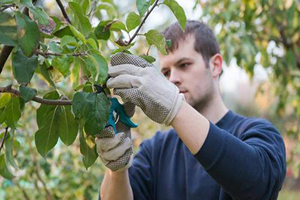 2018 Genç Çiftçi Projesi Kazananları Belli Oldu