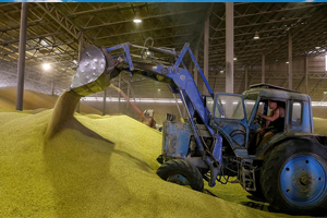 Gelecek 10 Yılda Tarım Ürünleri Fiyatları Düşecek