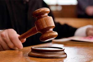 O Mahkeme Hayvanlarla İnsanların Eşit Haklara Sahip Olduğunu Hükmetti