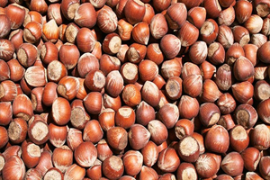 Fındığın 1 Gramının Bile İç Piyasaya Satılmaması Lazım