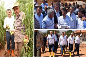 Devlet Ne Gerekiyorsa Yapacak