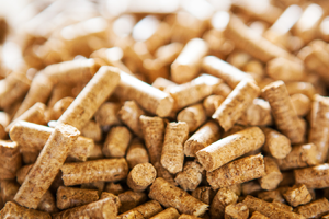 Çiftçi Yemi Dolarla Alacak Sütü Kuruşla Satacak