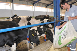 Yem Fiyatları Dolar Kuru na Göre Tekrar Düzenlensin