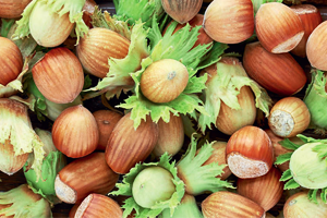 Bu Sezon Fındık Fiyatını Üretici Belirleyecek