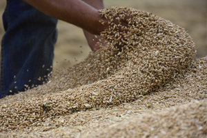 İthalat Yapmak Artık Cesaret İster