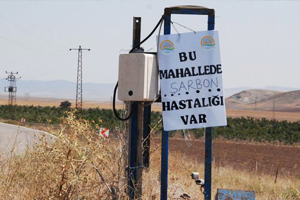 Brezilya dan İthal Edilen Hayvanlarda Şarbon Çıktı