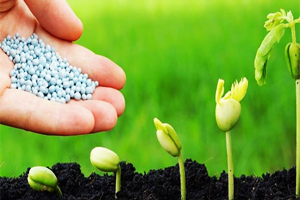 Gübre Konusunda Önlemler Alınması Gerekiyor