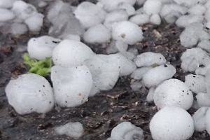 Şiddetli Yağış Tarım Arazilerini Vurdu