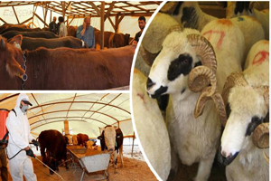 Kurban Bayramı Öncesi Tüm Tedbirler Alındı