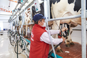 TZOB tan Çiğ Süt Açıklaması