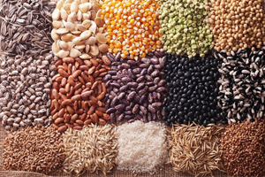 Türkiye 6 Tohumculuk Kongresi Başladı