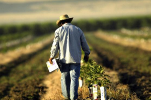 2019 ÇKS Başvuruları Başladı